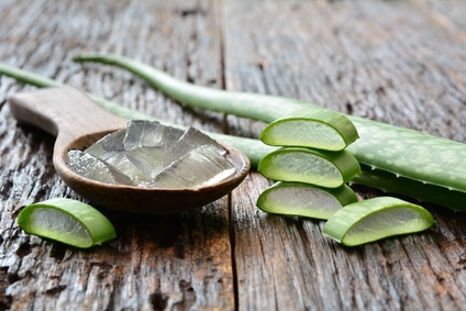 aloe vera - gel