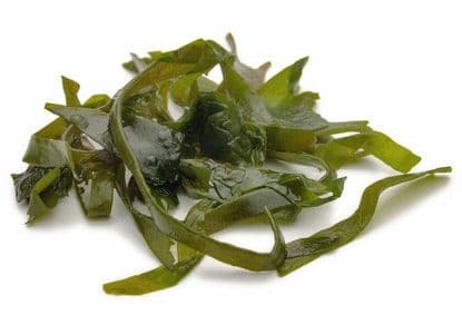 Kelp-Alge