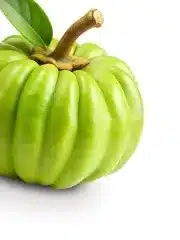 Garcinia Cambogia (Malabar-Tamarinde) – Inhaltsstoff im Hinuki Lean Habit Jelly